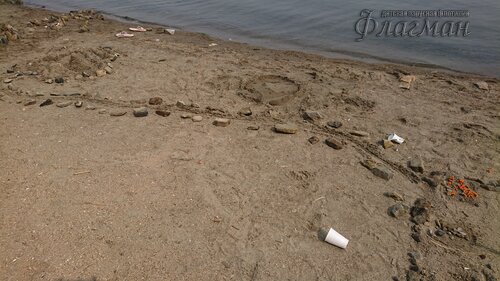 DSC_20220808111905_0258